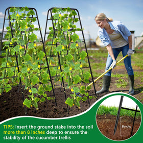 KJX trellis compatible with raised beds and containers for versatile growing