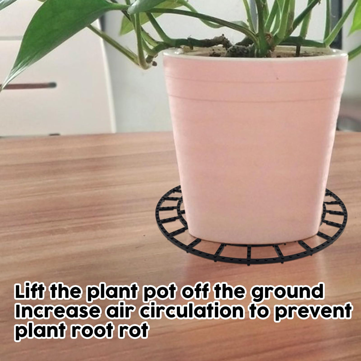 KKONHII pot elevator stand keeps plants stable while improving air circulation.