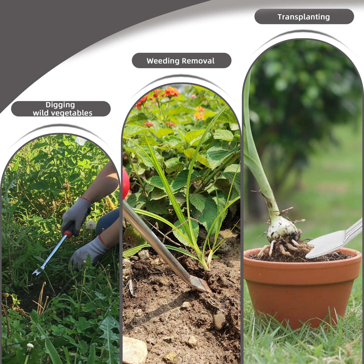 KLDOLLAR compact 12-inch weeder stores neatly between uses.
