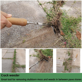 KLDOLLAR Crack Weeder suitable for driveways, patios, and wall gaps.