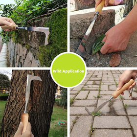 KLDOLLAR Crack Weeder ideal for narrow sidewalk gaps and paver joints.