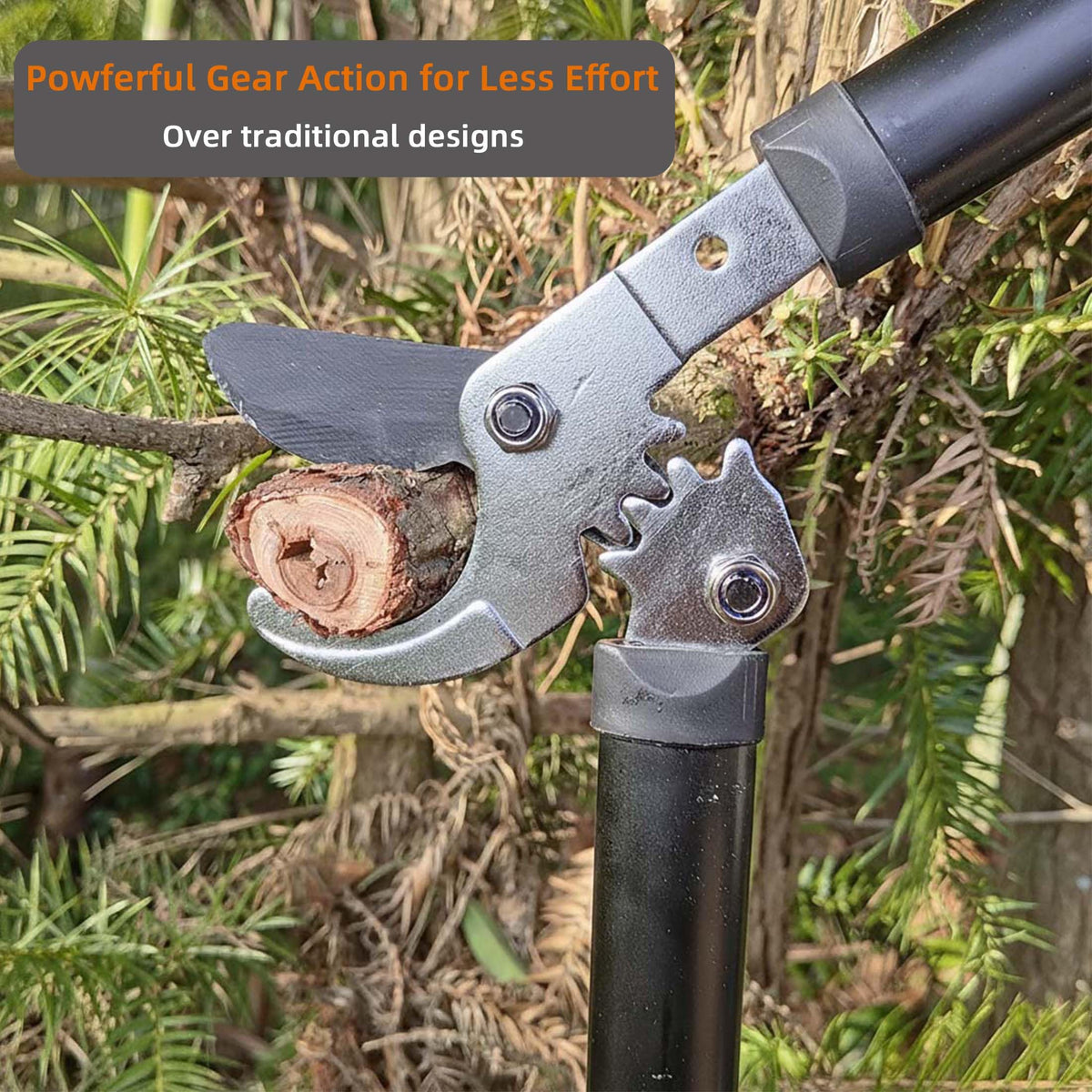KLDOLLAR loppers with rust-resistant blade for lasting sharpness during pruning.