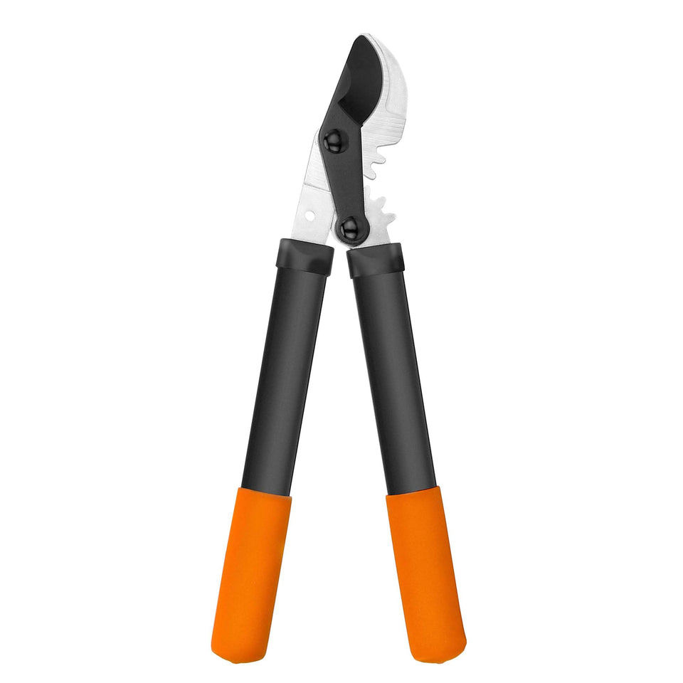 KLDOLLAR loppers with sharp gear-action blade for easy branch cutting.