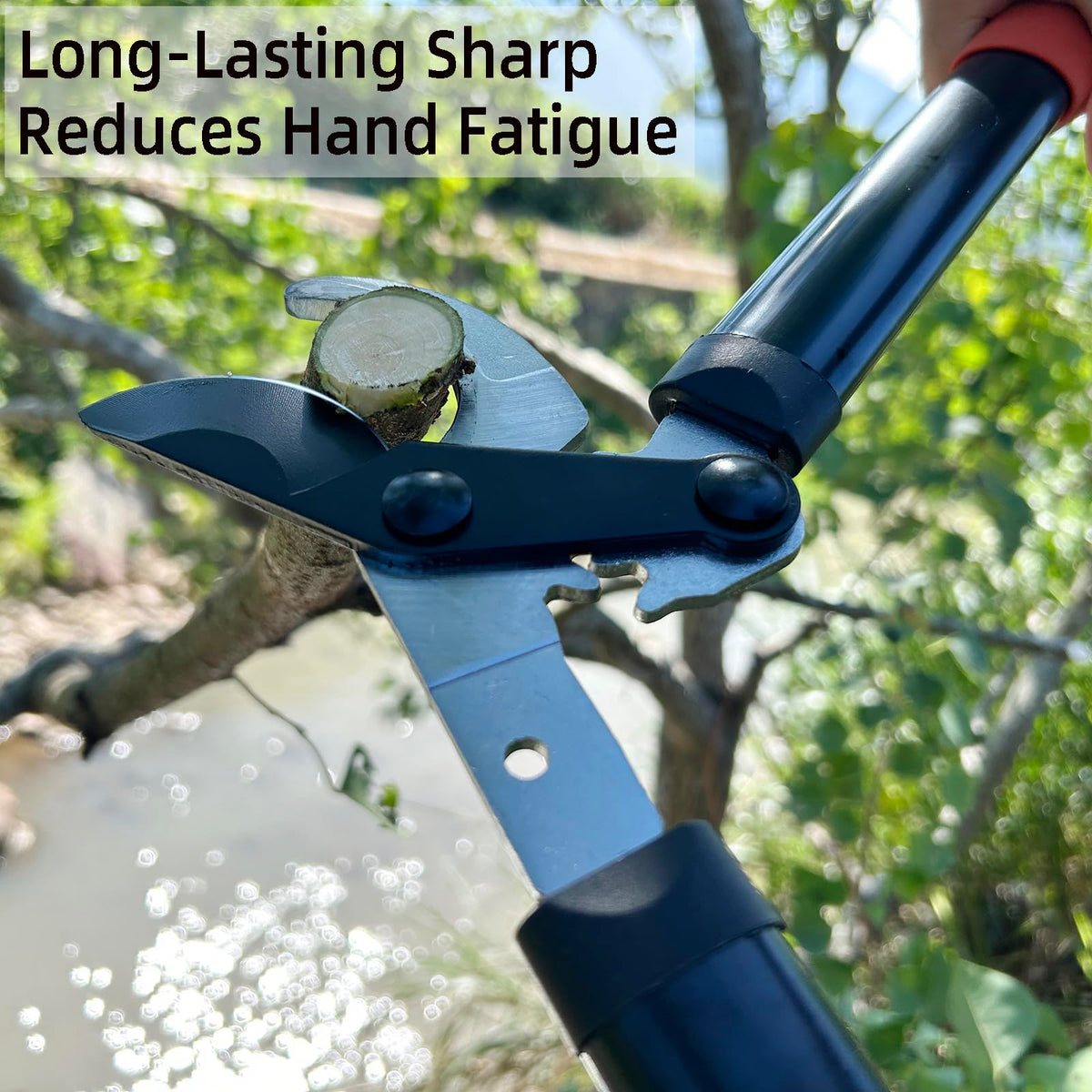 KLDOLLAR loppers suited for trimming hedges, bushes, roses, and small trees.