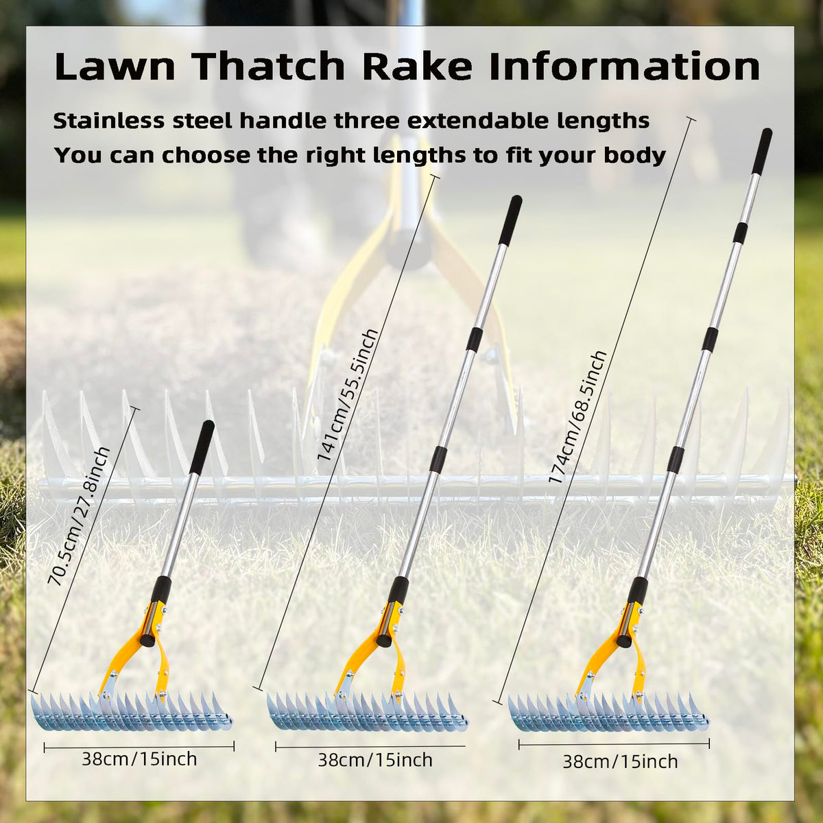 KLDOLLAR Thatch Rake adjustable length for different user heights