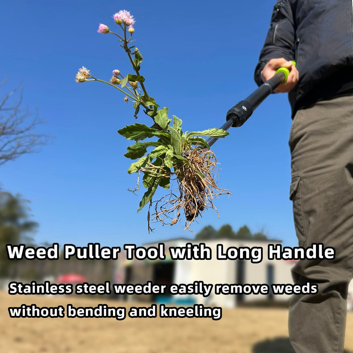 KLDOLLAR weed remover's V-shaped forks penetrate soil for deeper root removal.