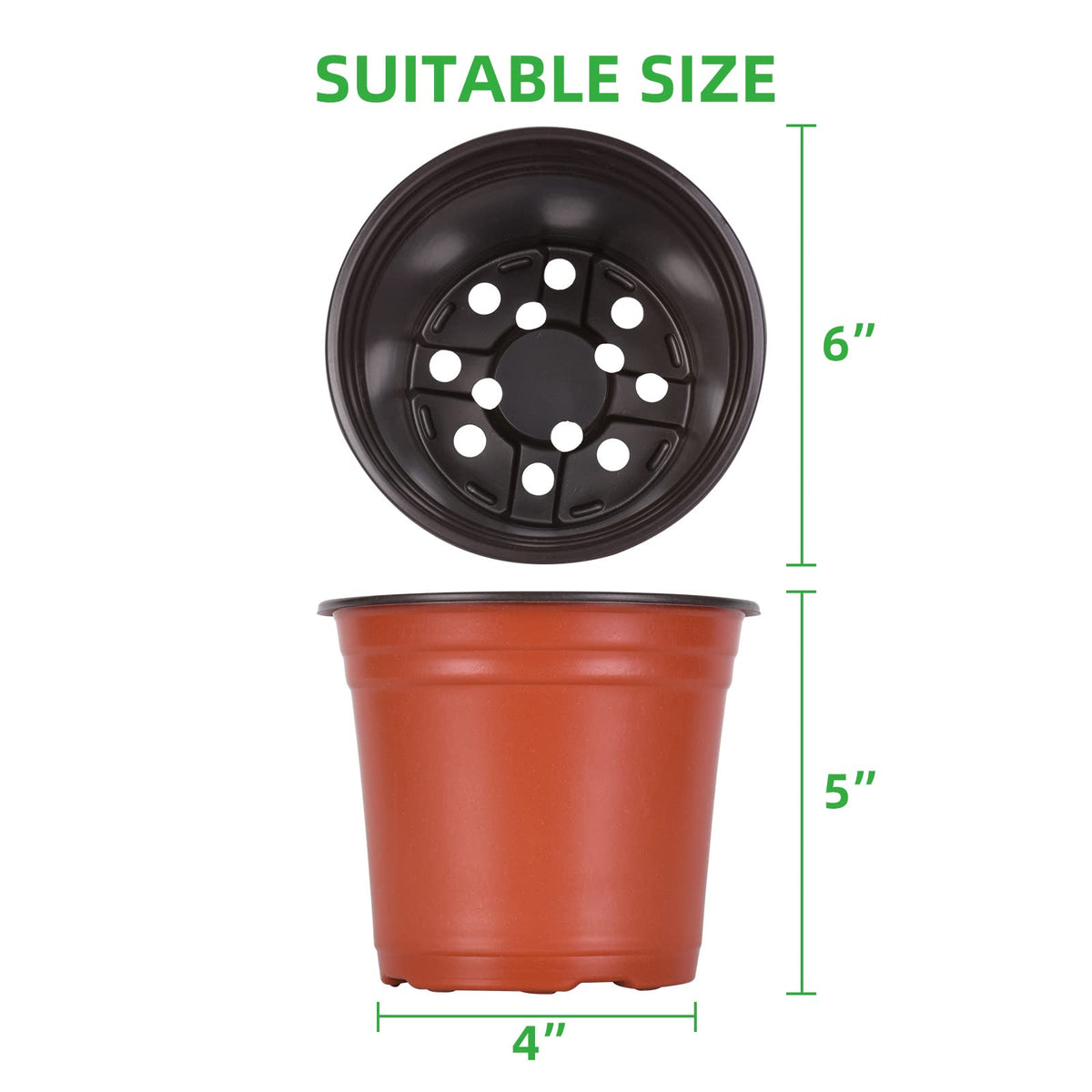 Kleeblatt pots with drainage holes promote drainage and healthy roots.