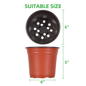 Kleeblatt pots with drainage holes promote drainage and healthy roots.
