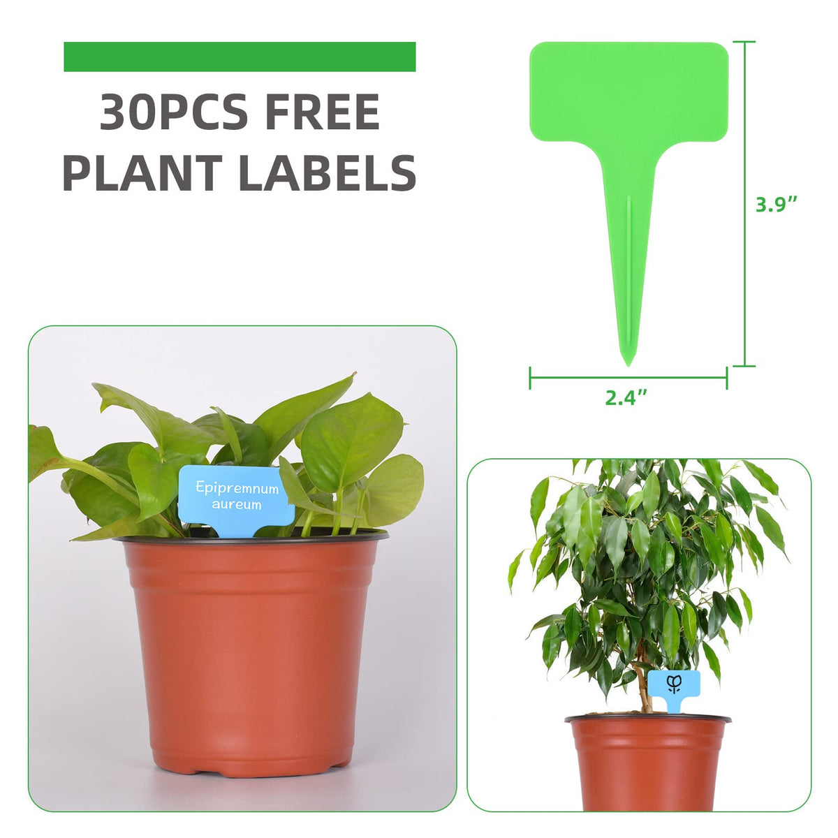 Kleeblatt 6-inch pots side view showing sturdy reusable plastic.