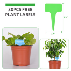 Kleeblatt 6-inch pots side view showing sturdy reusable plastic.