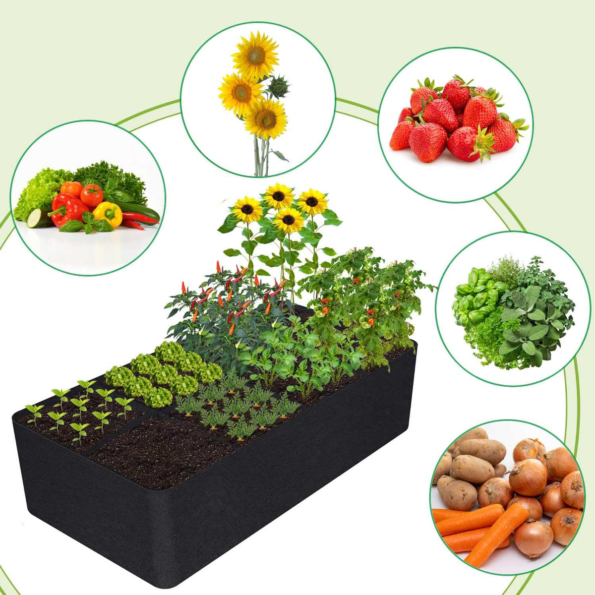 KLEWEE versatile garden bed for tomatoes, peppers, herbs and greens.
