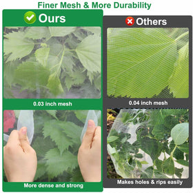 KLEWEE garden netting protecting fruit trees and berries from wildlife.