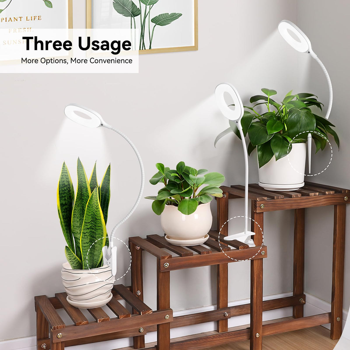 KNHUOS 3-color spectrum supports diverse indoor plant needs