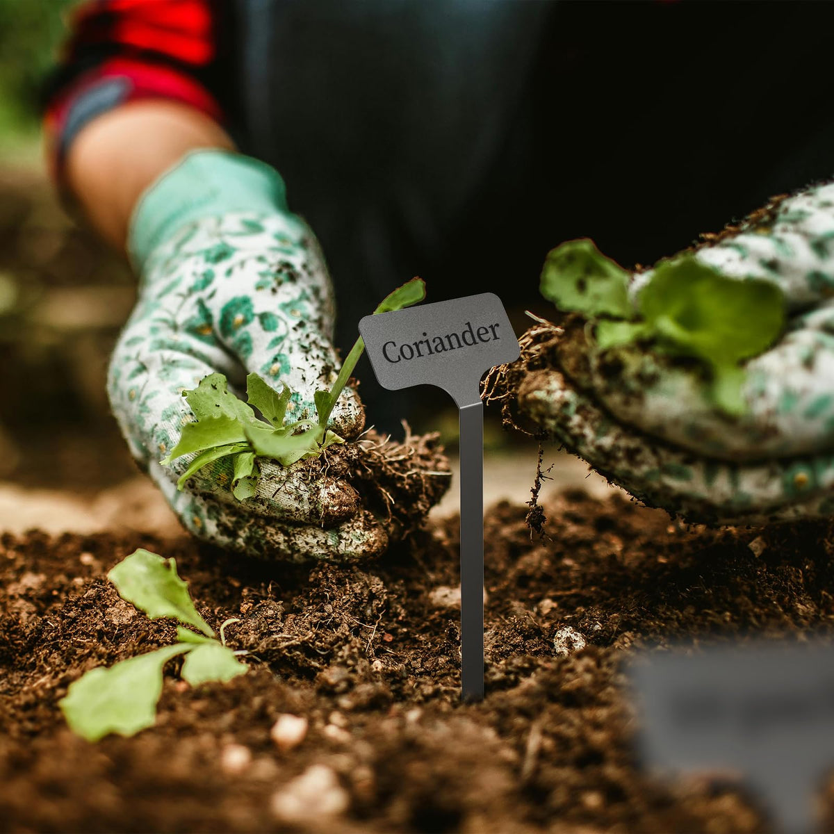 KNLLFolan reusable nursery tags for seeds and herbs.