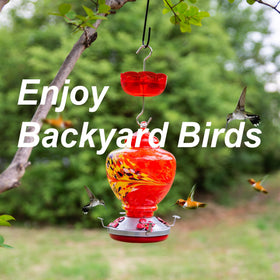 Knowone ant moat enhances backyard decor while protecting nectar from ants.