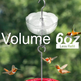 Knowone ant moat hummingbird feeder reservoir clear for nectar level check