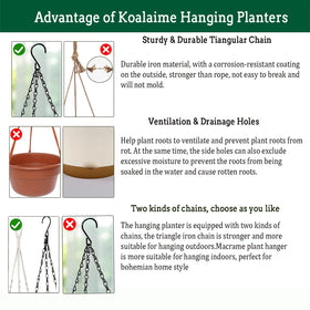 Koalaime 2-pack 10-inch baskets suit flowers, herbs, or succulents
