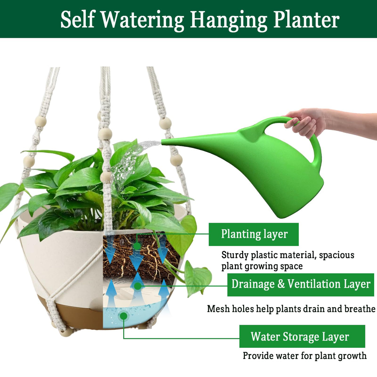 Koalaime hanging planter shows ventilation and drainage holes for healthy root growth