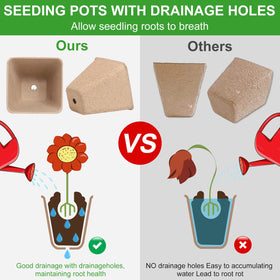KOAMLY pots with drainage holes aid airflow and transplanting.