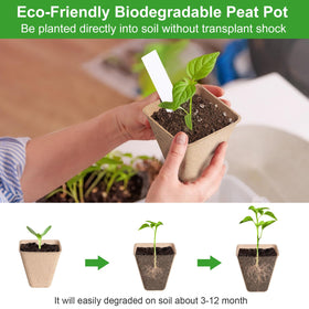 KOAMLY organic fiber degradation enriches soil to support root growth.