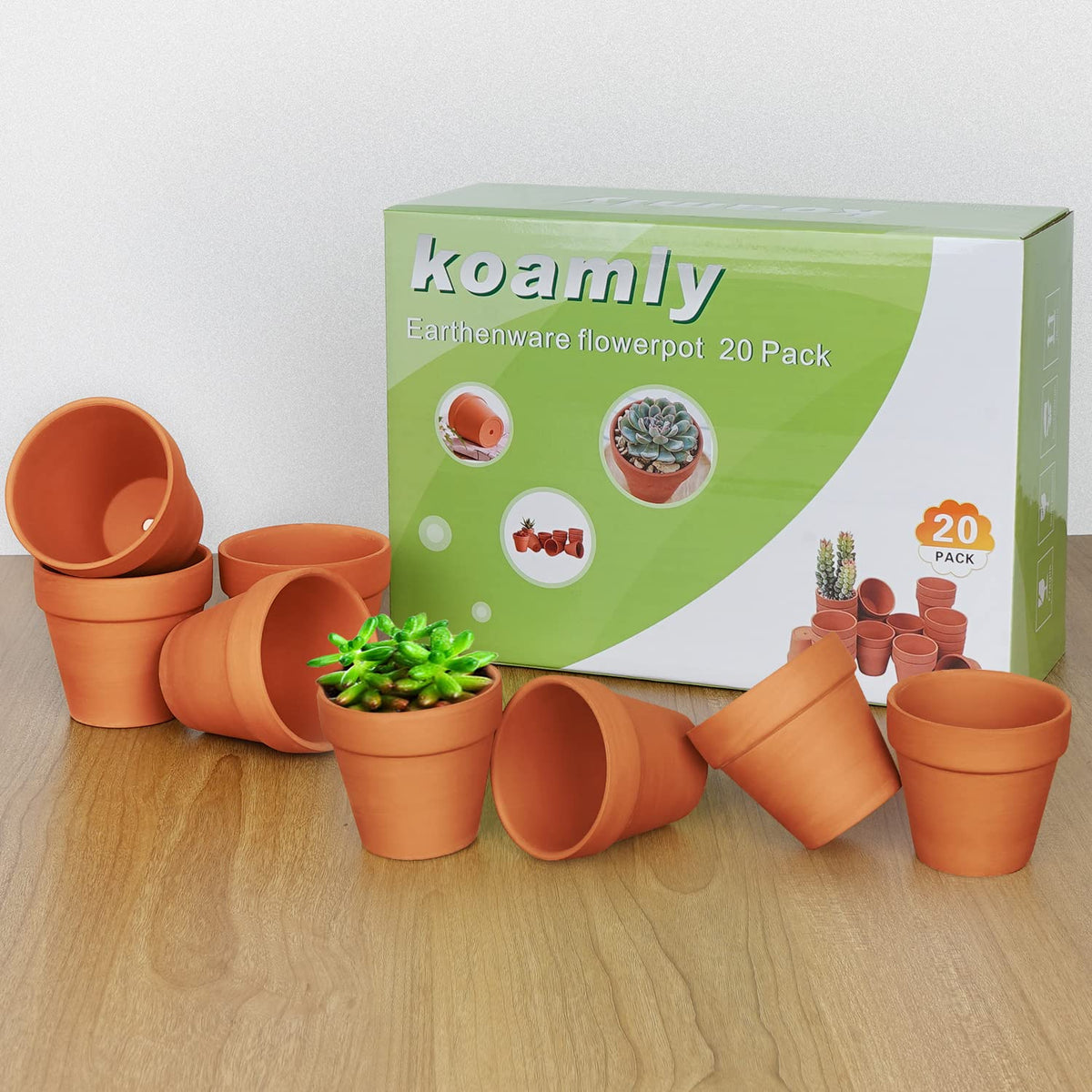 KOAMLY high-fired terracotta at 980°C delivers durable, long-lasting planters.