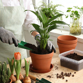 KOAMLY paintable pots enable labeling and personalization on windowsill displays