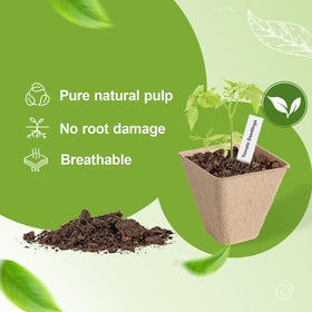 KOAMLY drainage holes on pots improve airflow and watering control