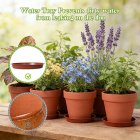 KOAMLY succulent herb planters suit indoor gardening and thoughtful gifts