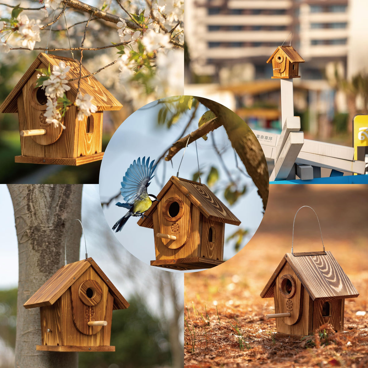 Koangle cedar birdhouse with carbonized finish combines elegance and resilience