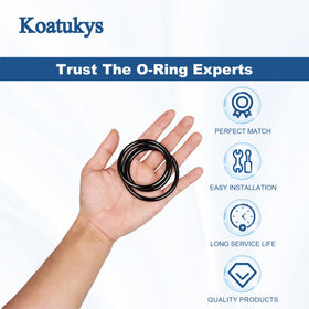 Koatukys GMX600F O-ring replacement fitting Hayward S166T