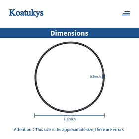 Koatukys GMX600F O-ring replacement fitting Hayward S180T