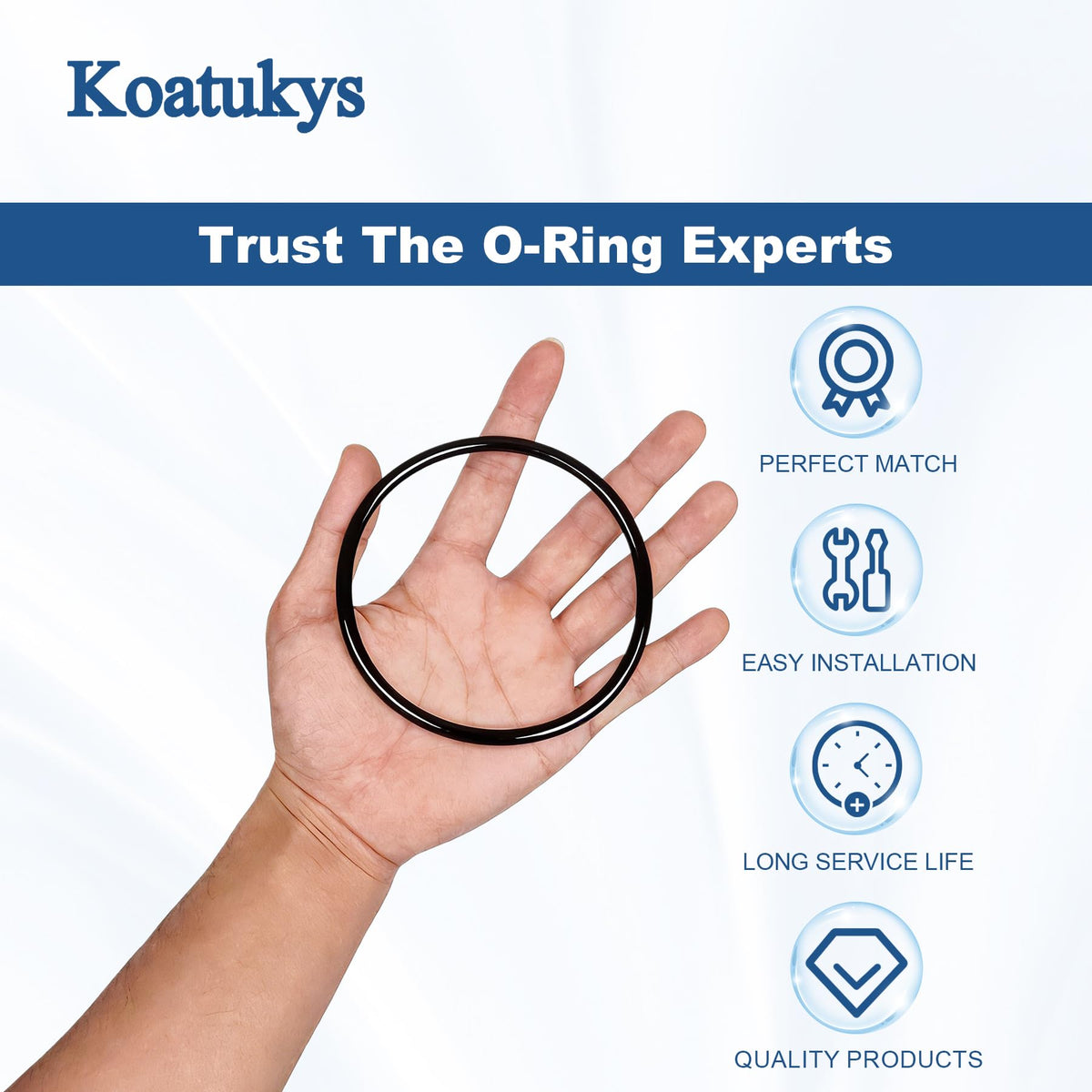 Koatukys O-Ring seals chlorinator lids to prevent air suction and water loss.