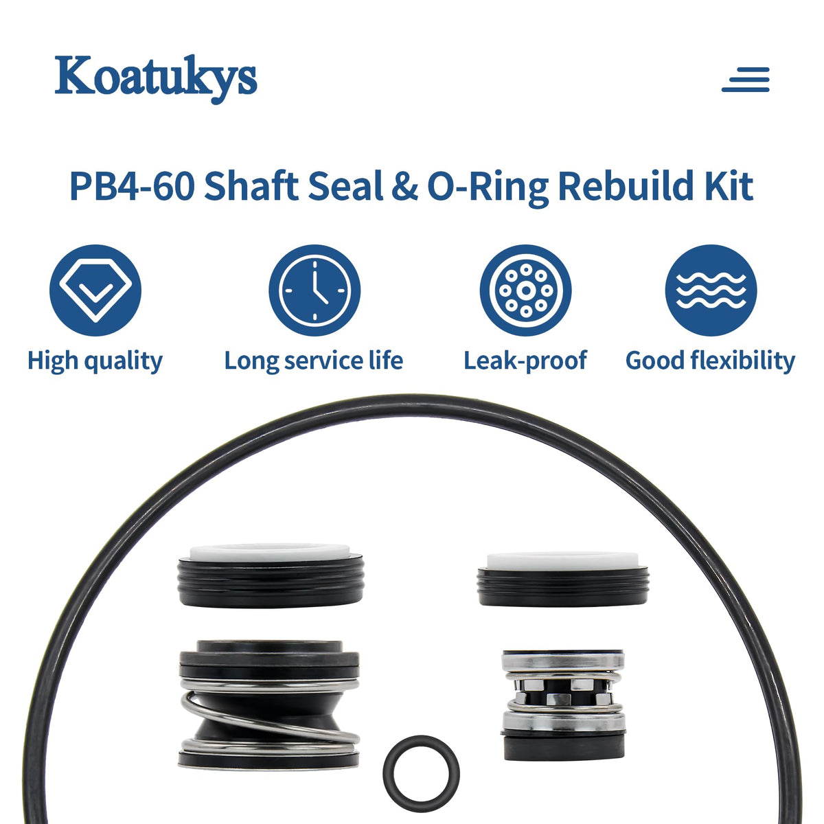 Koatukys PB4-60 rebuild kit packaging including all seals