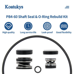 Koatukys PB4-60 rebuild kit packaging including all seals