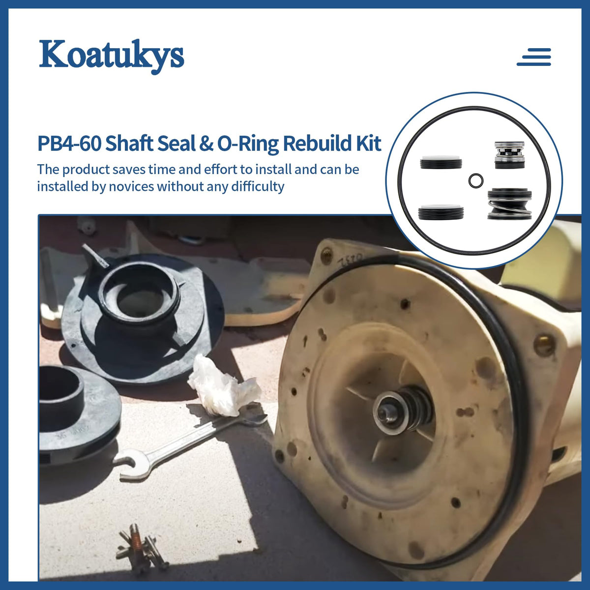 Koatukys PB4-60 pump shaft seal PS-201 supports dependable filtration