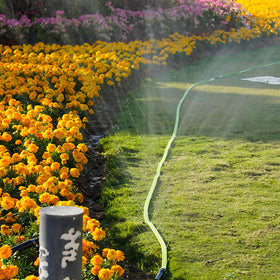 KOBAZ Sprinkler Hose stakes in use keep the hose flat and steady.