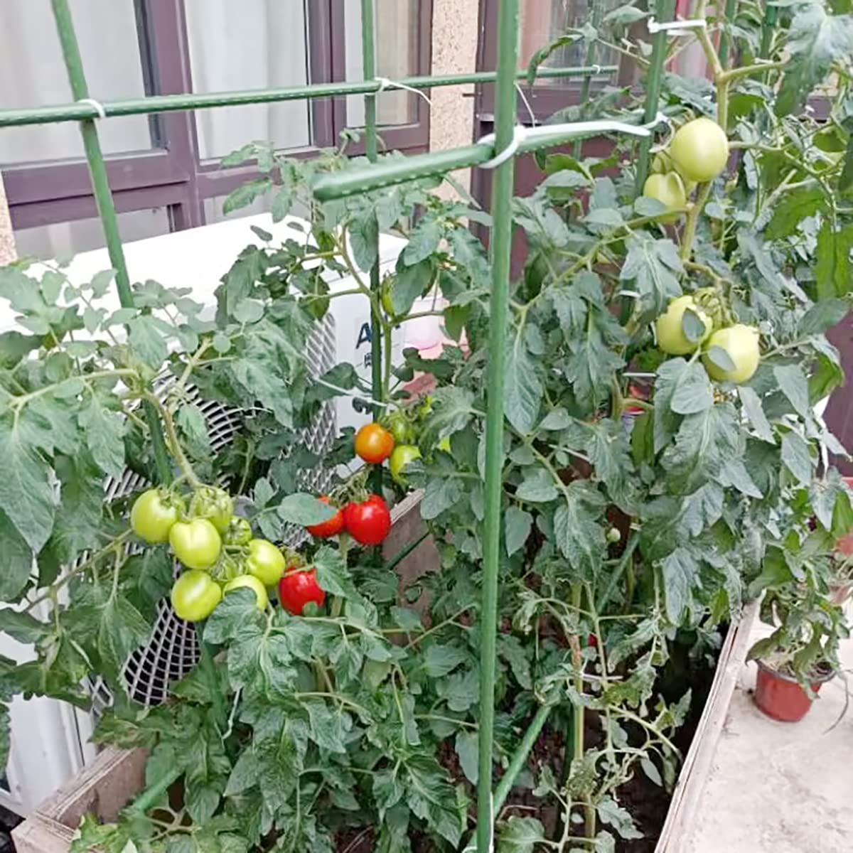 Kogrew 25-stake pack keeps plants neatly supported across spaces