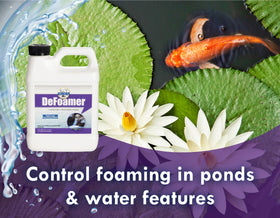 Koi Worx Defoamer foam-control pond scene restoring surface clarity.