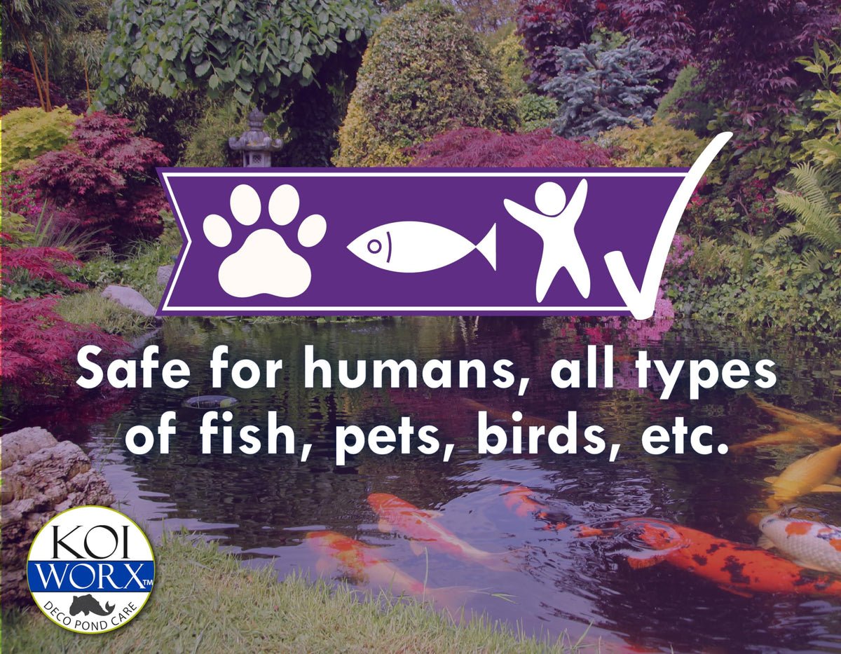 Koi Worx Defoamer pond fountain usage showing reduced foaming.