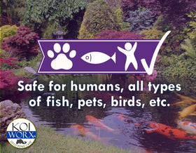 Koi Worx Defoamer pond fountain usage showing reduced foaming.