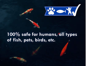 KoiWorx Blue Dye is koi-safe for ornamental ponds and aquatic life.