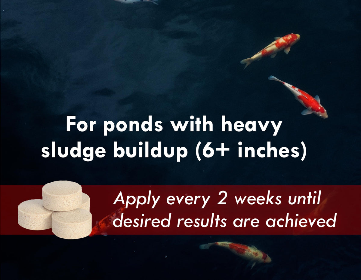 KoiWorx Muck Reducer shown as koi-safe maintenance