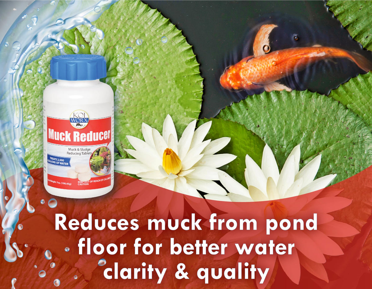 Koi Worx Muck Reducer being poured into a pond for easy application