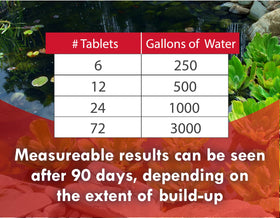 Clear pond water after using KoiWorx Muck Reducer