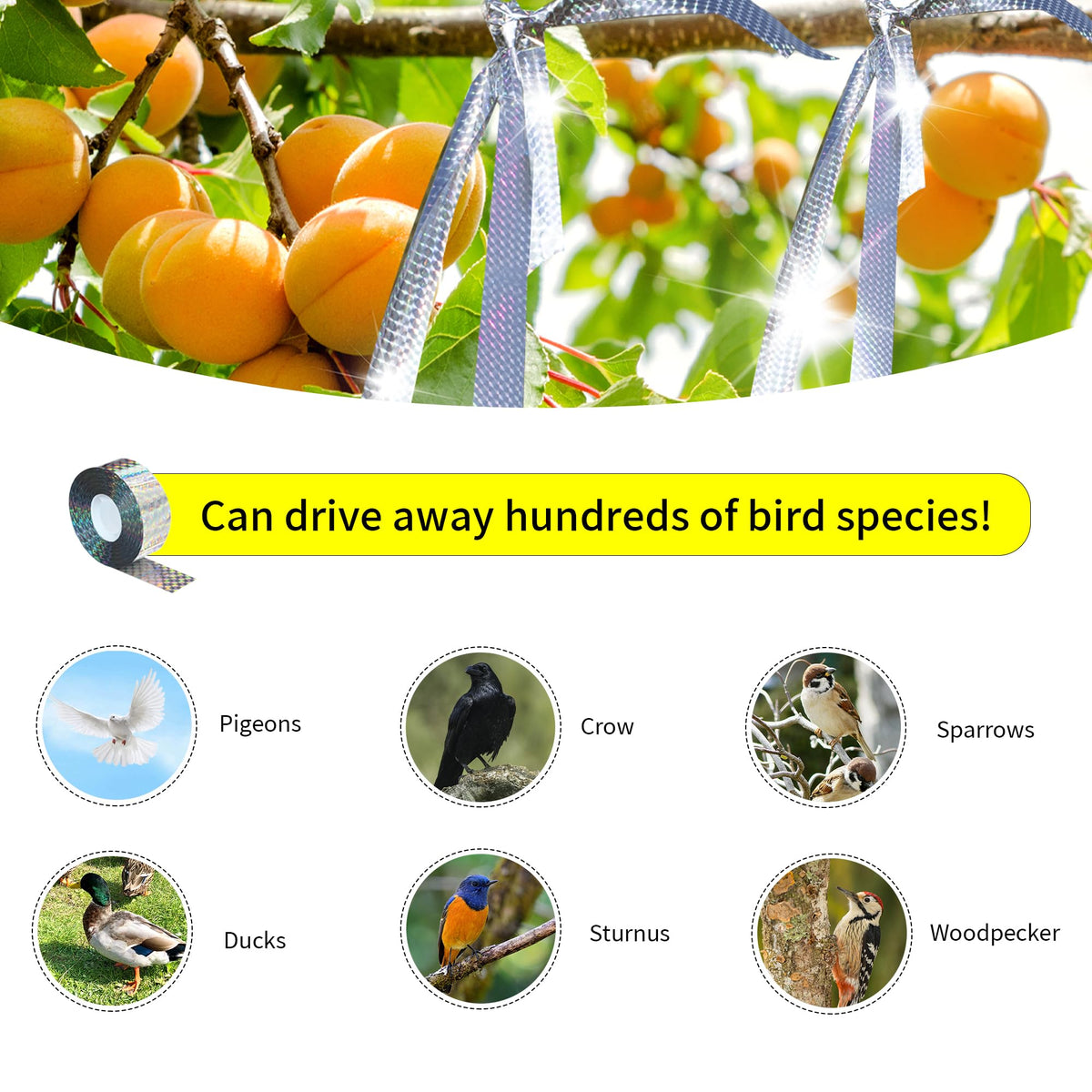 KOKMEYA bird tape for eaves installation, simple to tie and cut to fit any branch or ledge.