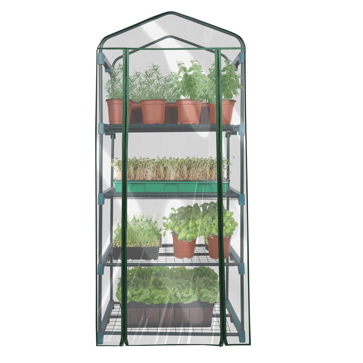 KOL 4-Tier Mini Greenhouse shelf-setup adds plant-storage.
