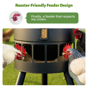 KOL feeder in coop use for organized feeding of flocks.