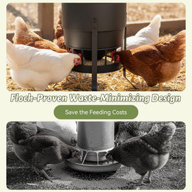 KOL sixteen-port chick-friendly height reduces injury risk.
