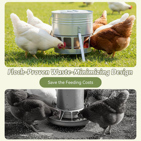 KOL ground-mounted feeder shown on stable outdoor setup
