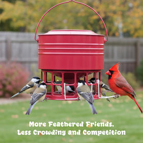KOL Large Bird Feeder 32-port close-up reveals multi-bird capacity